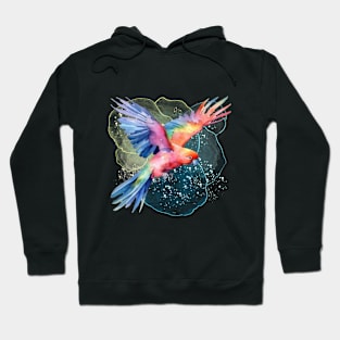 Colorful Parrot Hoodie